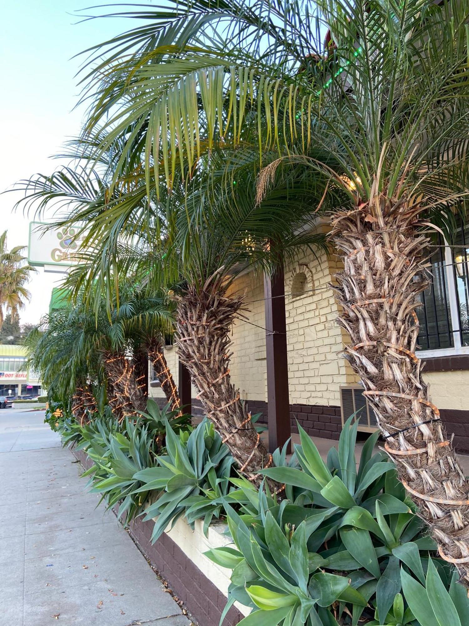 El Patio Motel
